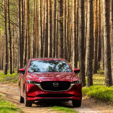 Mazda mexico financial renovation v2
