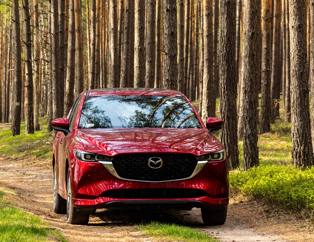 Mazda mexico financial renovation v3