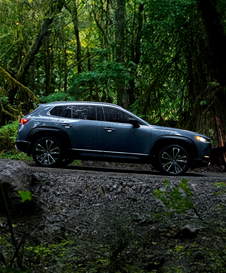 Mazda cx50 gris titanio selva v2