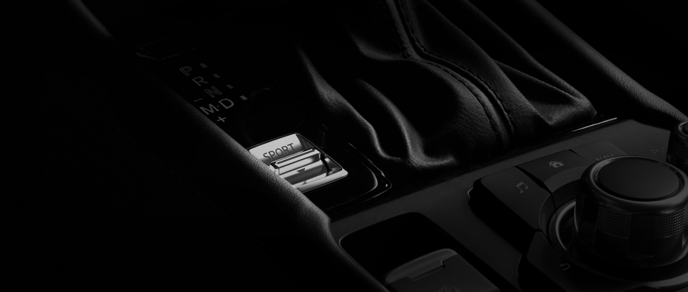 BOT&Oacute;N MODO SPORT