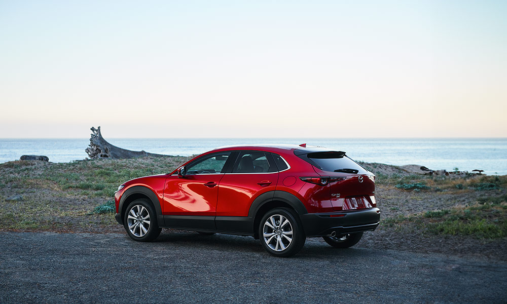 Suv roja en el bosque