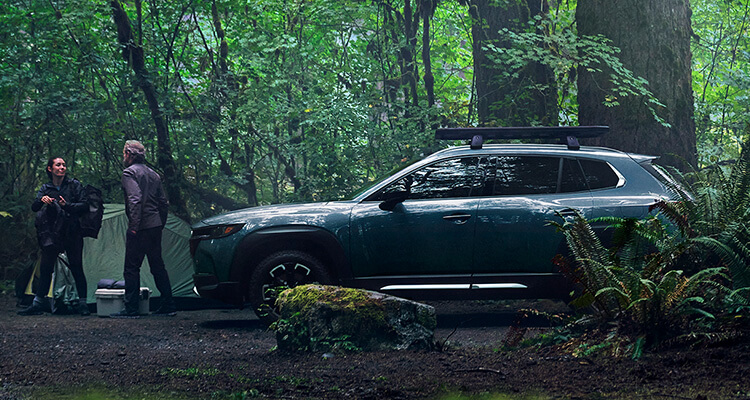 camioneta gris polimetal en bosque