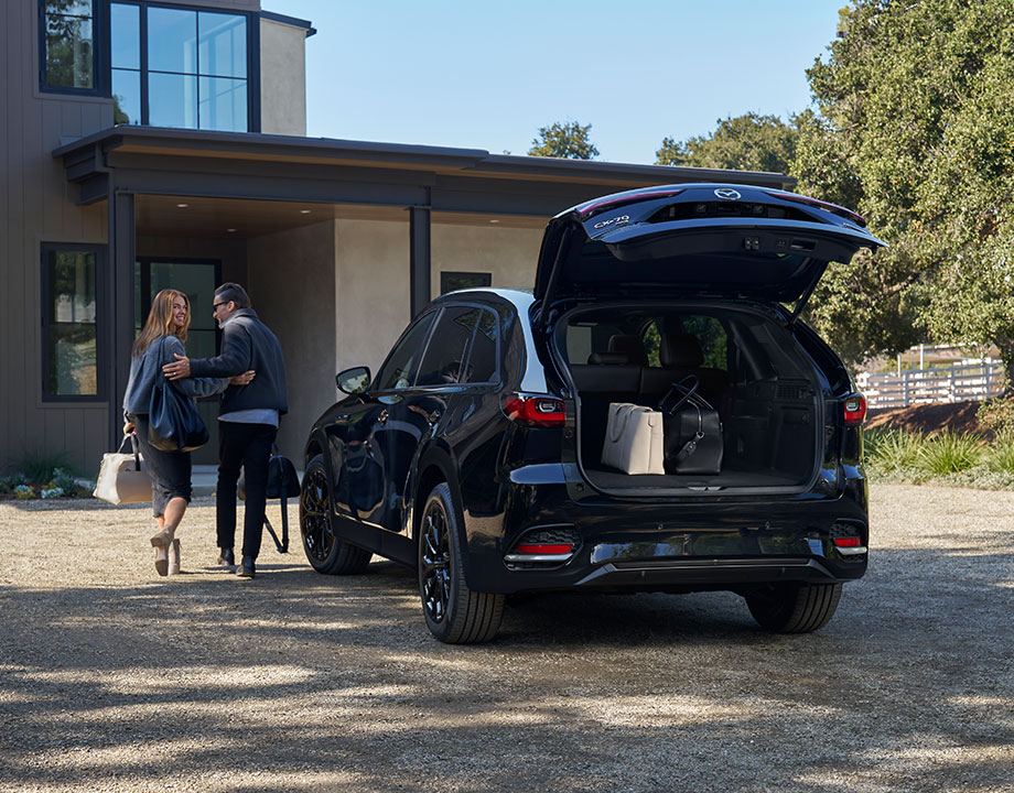 CARACTER&Iacute;STICAS INNOVADORAS