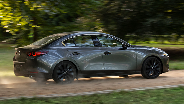 auto sedan gris en bosque